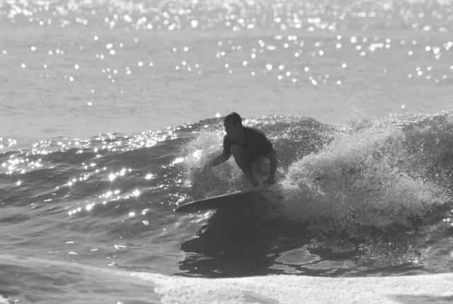 Photo by Steve Haggerty