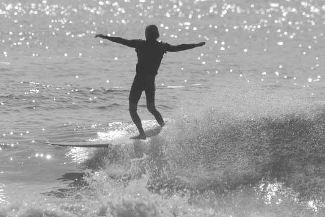 Photo by Steve Haggerty